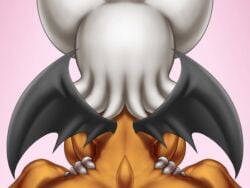 Rouge the Bat Sonic Rule 34 – Cowgirl Animation