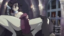 Original Rule 34 Video – Animal Genitalia