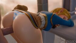 Princess Zelda & Zelda (Nintendo) Rule 34 Video