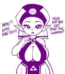 Princess Zelda & Young Zelda (Nintendo) Rule 34 Video