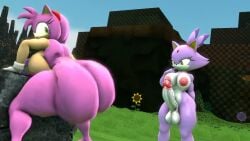 Amy Rose & Blaze The Cat (Sonic) Rule 34 Video