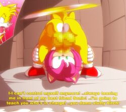 Amy Rose & Miles Prower (Sega) Rule 34 Video – 5 Fingers