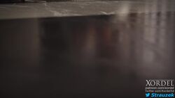 Lara Croft & Lara Croft (Tomb Raider) Rule 34 Video