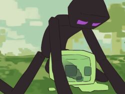 Enderman & Slime Minecraft Rule 34 – Creampie Animation