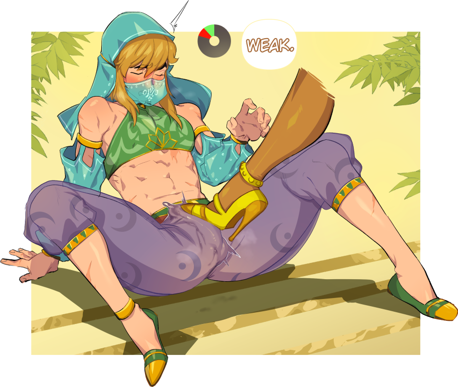 Gerudo & Gerudo Link (Breath Of The Wild) Rule 34