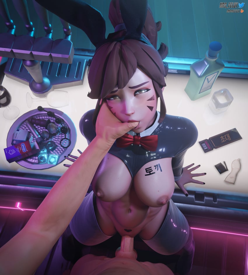 D.va (Blizzard Entertainment) Rule 34 – Asian Female