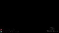 Lara Croft & Lara Croft (Final Fantasy) Rule 34 Video