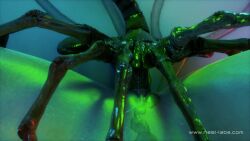 Aerith Gainsborough & Facehugger (Alien) Rule 34 Video