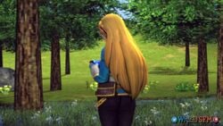 Link & Link (Breath Of The Wild) Rule 34 Video