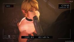Ganondorf & Link (Hyrule Warriors) Rule 34 Video