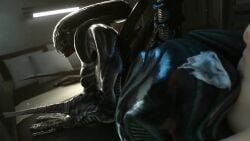 Female Xenomorph & Xenomorph (Alien) Rule 34 Video