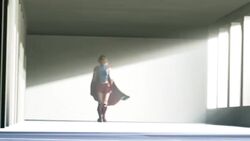 Harley Quinn & Harley Quinn (Batman: Arkham Knight) Rule 34 Video