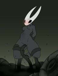 Hornet & Void (Hollow Knight) Rule 34 Video – Breasts