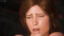 Lara Croft & Lara Croft (Crystal Dynamics) Rule 34 Video