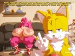 Amy Rose & Miles Tails Prower (Fumo Plush) Rule 34 Video