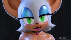 Rouge The Bat & Rouge The Bat (Sega) Rule 34 Video