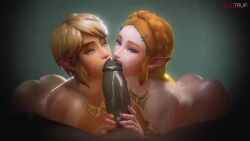 Link & Link (Breath Of The Wild) Rule 34 Video