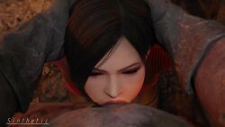 Ada Wong & Ada Wong (Capcom) Rule 34 Video – Absurdly Large Cock