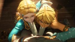 Gerudo Link & Link (Breath Of The Wild) Rule 34 Video