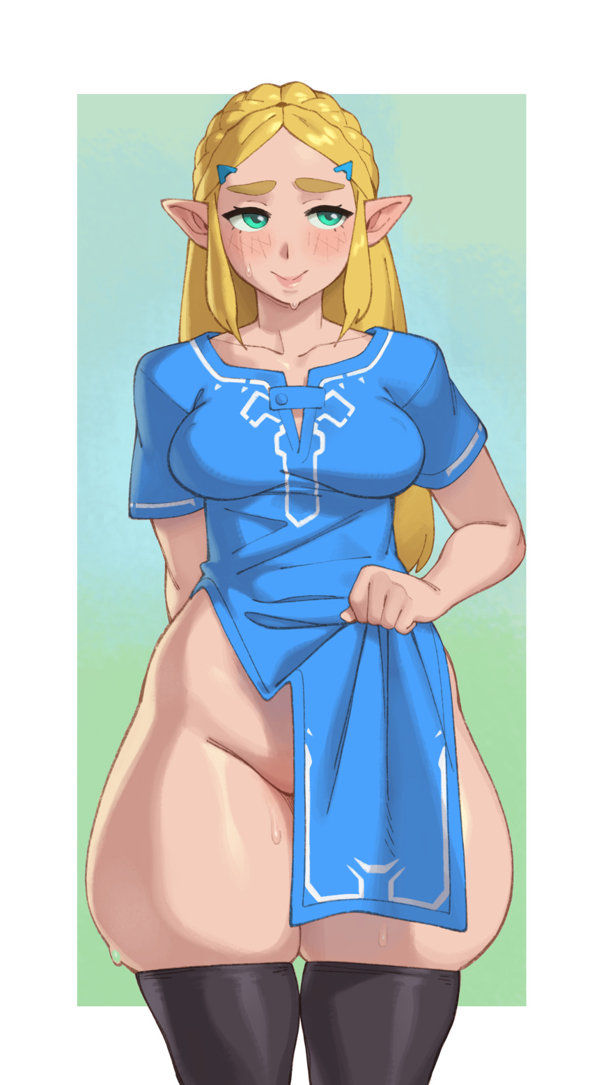 Princess Zelda & Zelda (Breath Of The Wild) Rule 34