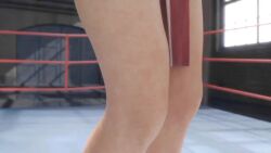 Mai Shiranui (Fatal Fury) Rule 34 Video – Anal