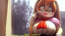 Vanilla The Rabbit (Sonic) Rule 34 Video – Big Ass