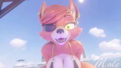 Foxy & Foxy (Five Nights At Freddy's) Rule 34 Video