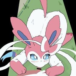 Pokemon & Sylveon Rule 34 Video – Anthro