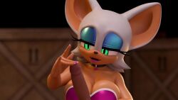 Rouge The Bat & Rouge The Bat (Sega) Rule 34 Video