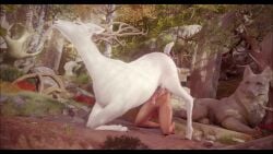 Bellara Lutare & Halla (Dragon Age) Rule 34 Video