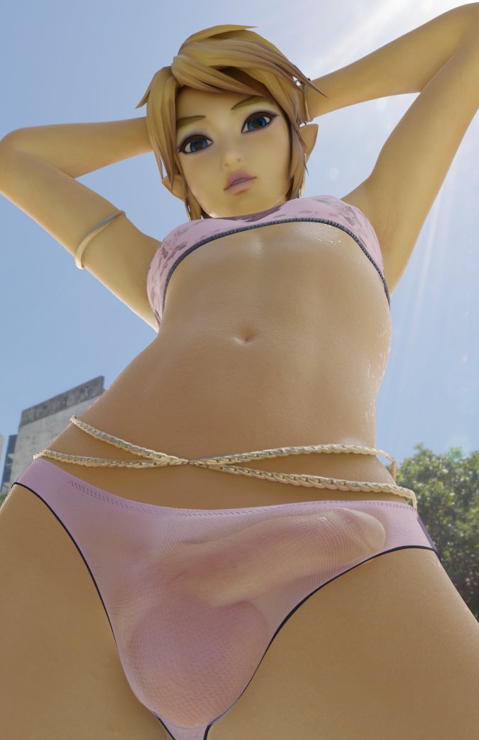 Link & Link (Hyrule Warriors) Rule 34 – Balls