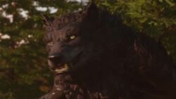 Elf Swordmaster Rule 34 Video – 1monster