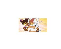 Ampharos & Cinderace (Nintendo) Rule 34 Video – <3 Eyes