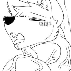 Ahe Gao All Holes Rule 34 Video
