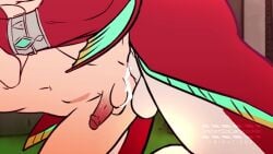 Link & Link (Breath Of The Wild) Rule 34 Video