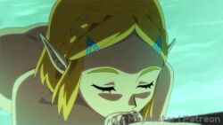 Ganondorf & Ganondorf (Nintendo) Rule 34 Video