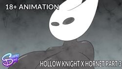 Hornet & Protagonist (Hollow Knight) Rule 34 Video