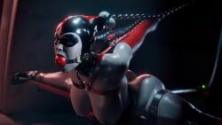 Harley Quinn & Harley Quinn (Batman) Rule 34 Video