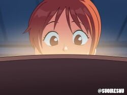 Monkey D Luffy & Nami (One Piece) Rule 34 Video