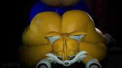 Feminine Tails & Miles Prower (Sega) Rule 34 Video