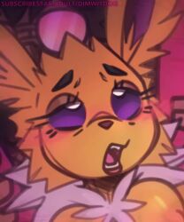 Eeveelution & Jolteon (Nintendo) Rule 34 Video