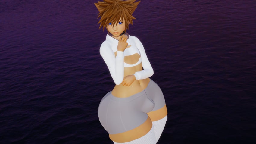 Sora (Kingdom Hearts) Rule 34 – 1femboy