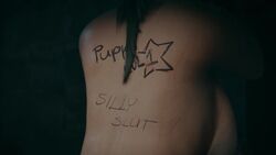 Lara Croft & Lara Croft (Tomb Raider) Rule 34 Video