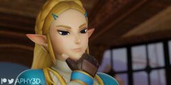 Princess Zelda & Zelda (Breath Of The Wild) Rule 34 Video