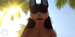 Anubis & Anubis (Palworld) Rule 34 Video – Animal Ears