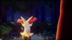 Braixen & Pok&eacute;mon (Pokemon) Rule 34 Video