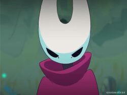 Hornet & Zote (Hollow Knight) Rule 34 Video – Anthro