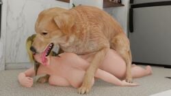 Helena Douglas (Dead Or Alive) Rule 34 Video – 1dog