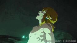 Ganondorf & Ganondorf (Nintendo) Rule 34 Video