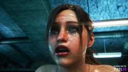 Claire Redfield & Spoo (Capcom) Rule 34 Video – Absurdly Lengthy Sex